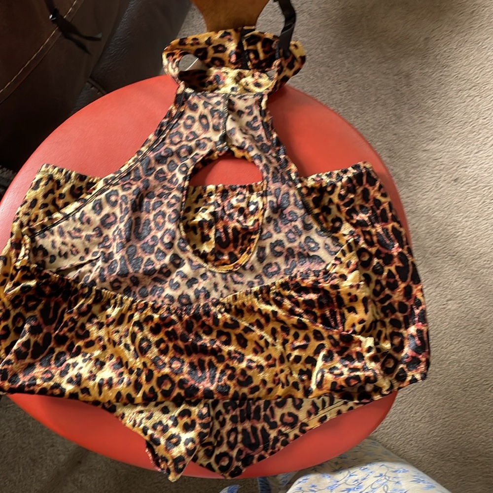 Sexy leopard large top shorts garter with tail two ears 2 gloves meow